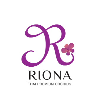 Sun International Flower Co., Ltd.